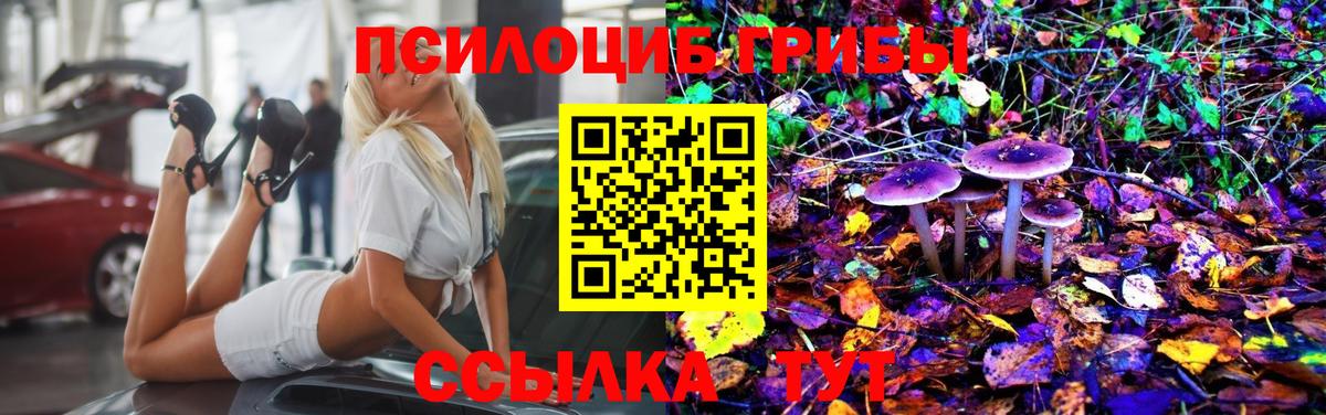 Псилоцибиновые грибы мухоморы Тольятти