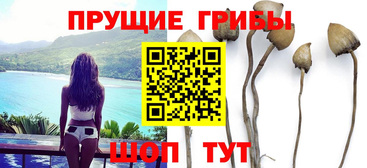 Галлюциногенные грибы Cubensis  как найти закладки  Тольятти  Вход с VPN  Галлюциногенные грибы Psilocybe 